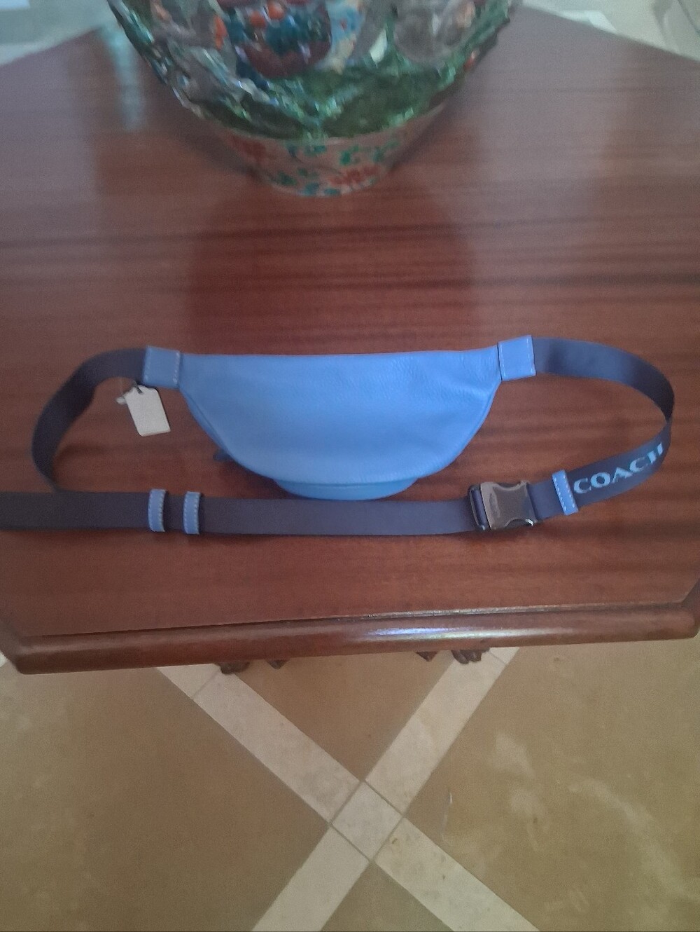 Coach CE649 Sprint Belt Bag Sky Blue - Picture 7 of 11
